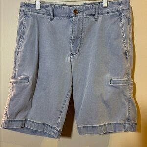 Tommy Bahama Blue Shorts